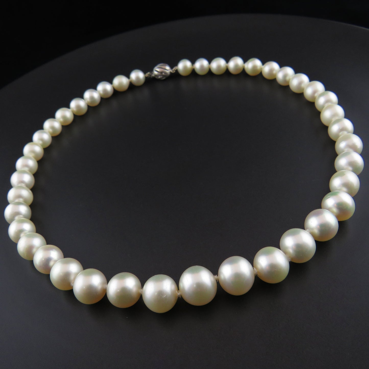 South Sea Pearl Strand