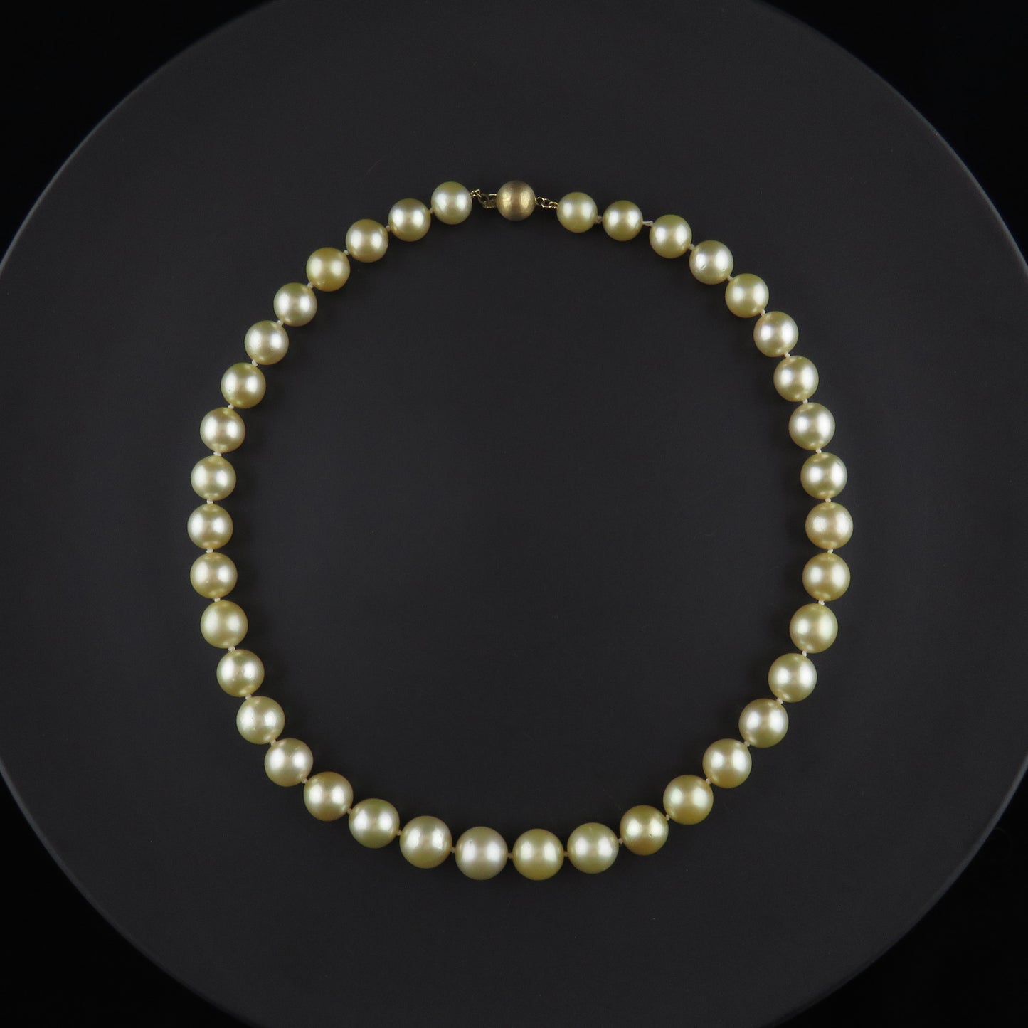 Golden South Sea Pearl Strand