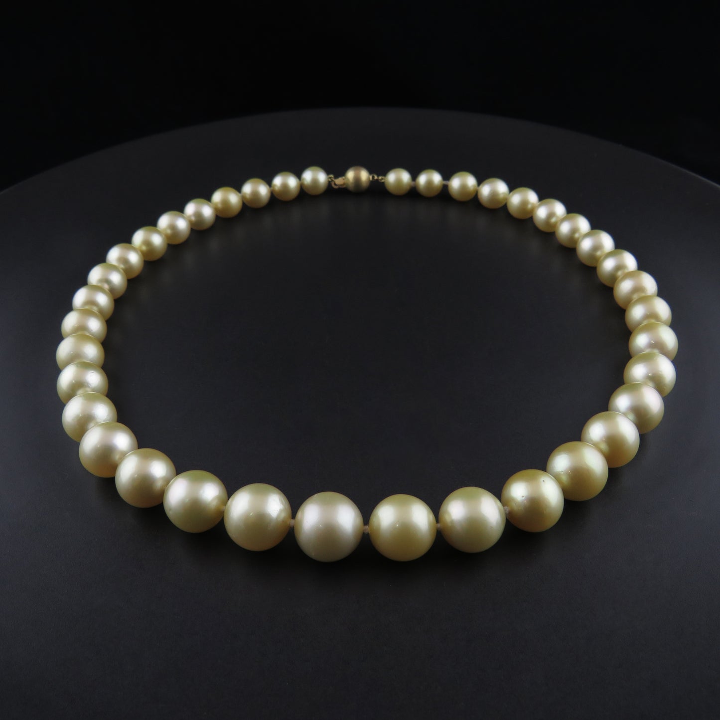 Golden South Sea Pearl Strand